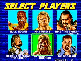 Select Screen for WWF WrestleFest.