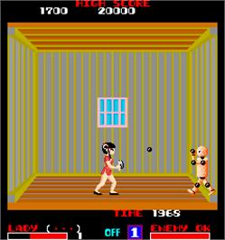 In game image of Lady Master of Kung Fu on the Arcade.