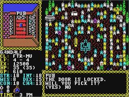 In game image of Hillsfar on the Commodore 64.