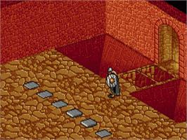 In game image of Heimdall on the Commodore Amiga.