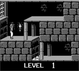 In game image of Prince of Persia on the Nintendo Game Boy.