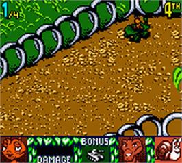 In game image of Antz Racing on the Nintendo Game Boy Color.