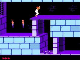 In game image of Prince of Persia on the Nintendo NES.