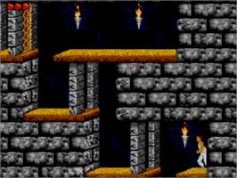 In game image of Prince of Persia on the Sega Master System.