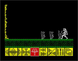 In game image of Barbarian on the Sinclair ZX Spectrum.