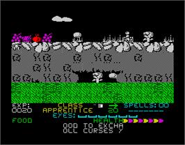 In game image of Blind Panic on the Sinclair ZX Spectrum.