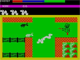 In game image of Wriggler on the Sinclair ZX Spectrum.