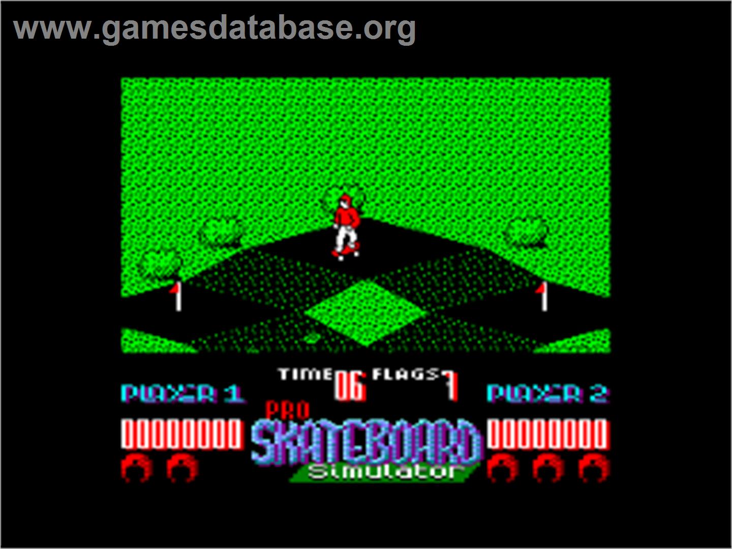 Pro Skateboard Simulator - Amstrad CPC - Artwork - In Game