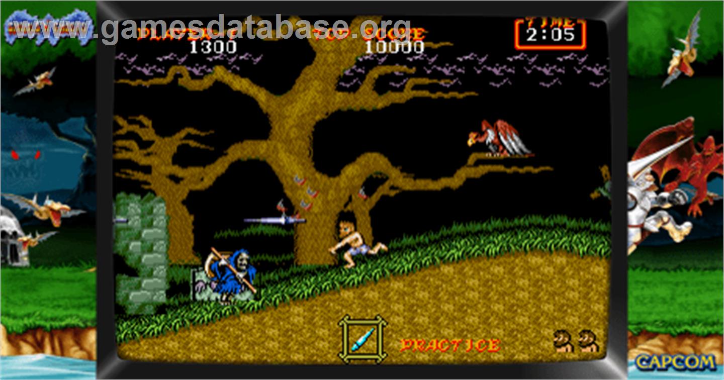 Ghouls'n Ghosts - Arcade - Artwork - Artwork