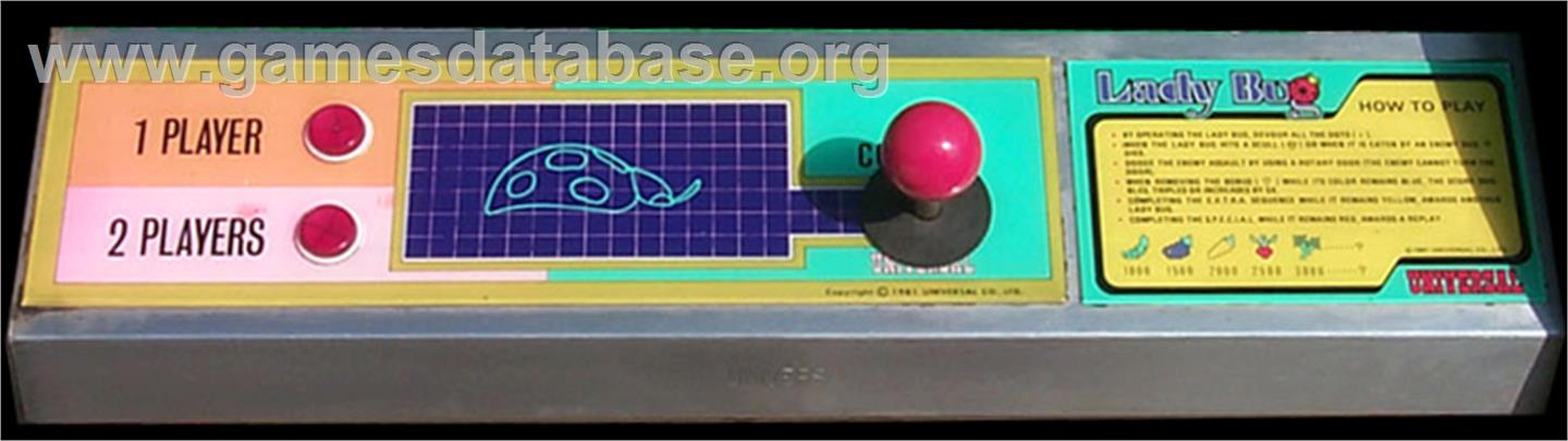 Lady Bug - Arcade - Artwork - Control Panel