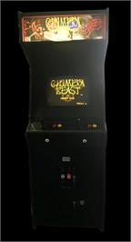 Arcade Cabinet for Chimera Beast.