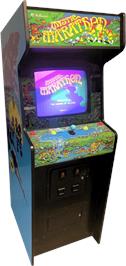 Arcade Cabinet for Mystic Marathon.