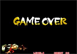 Game Over Screen for Fighters Swords.
