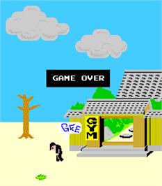 Game Over Screen for Karate Dou.