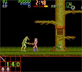 In game image of Legend of Makai on the Arcade.