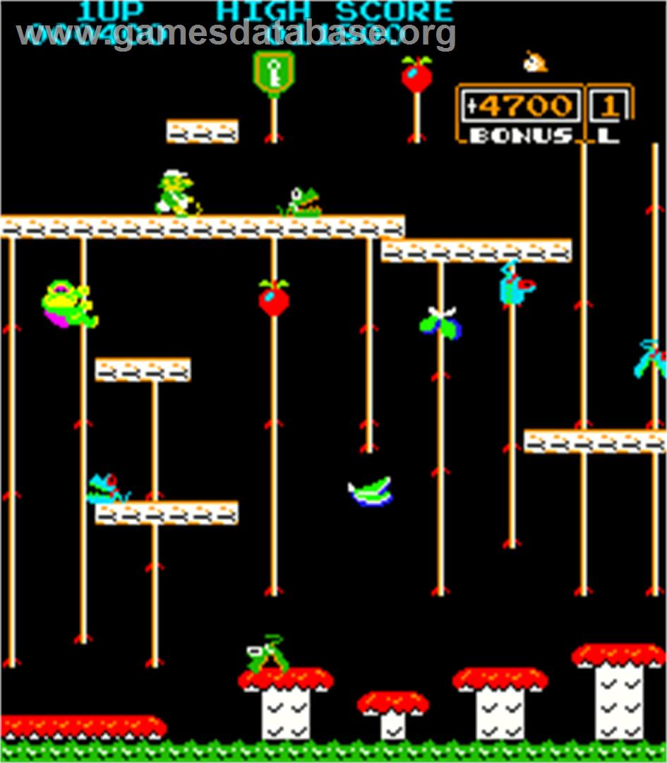 Donkey Kong Jr. - Arcade - Artwork - In Game