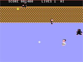 In game image of Enter the Ninja on the Commodore 64.