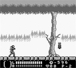 In game image of Castlevania: Legends on the Nintendo Game Boy.