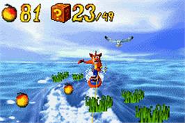 Crash Bandicoot 2: N-Tranced, Nintendo