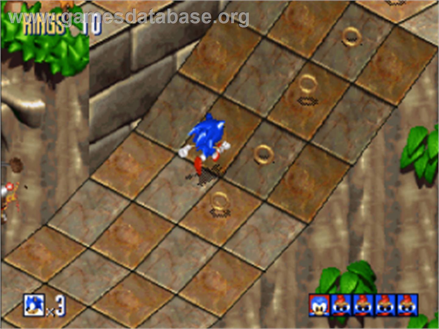 Sonic 3D: Flickies' Island - Sega Saturn - Artwork - In Game